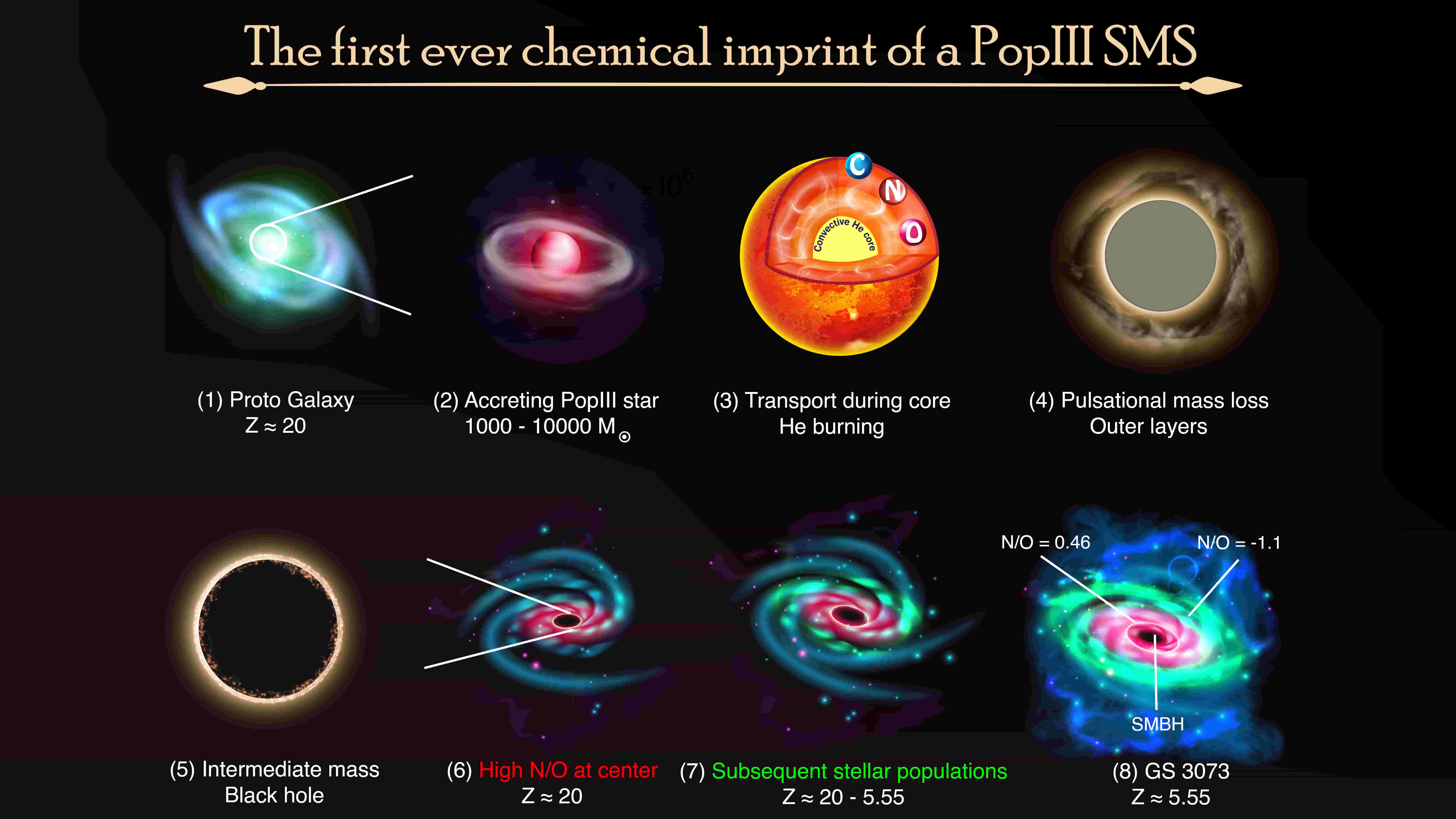 Chemical Fingerprints of the First Stars